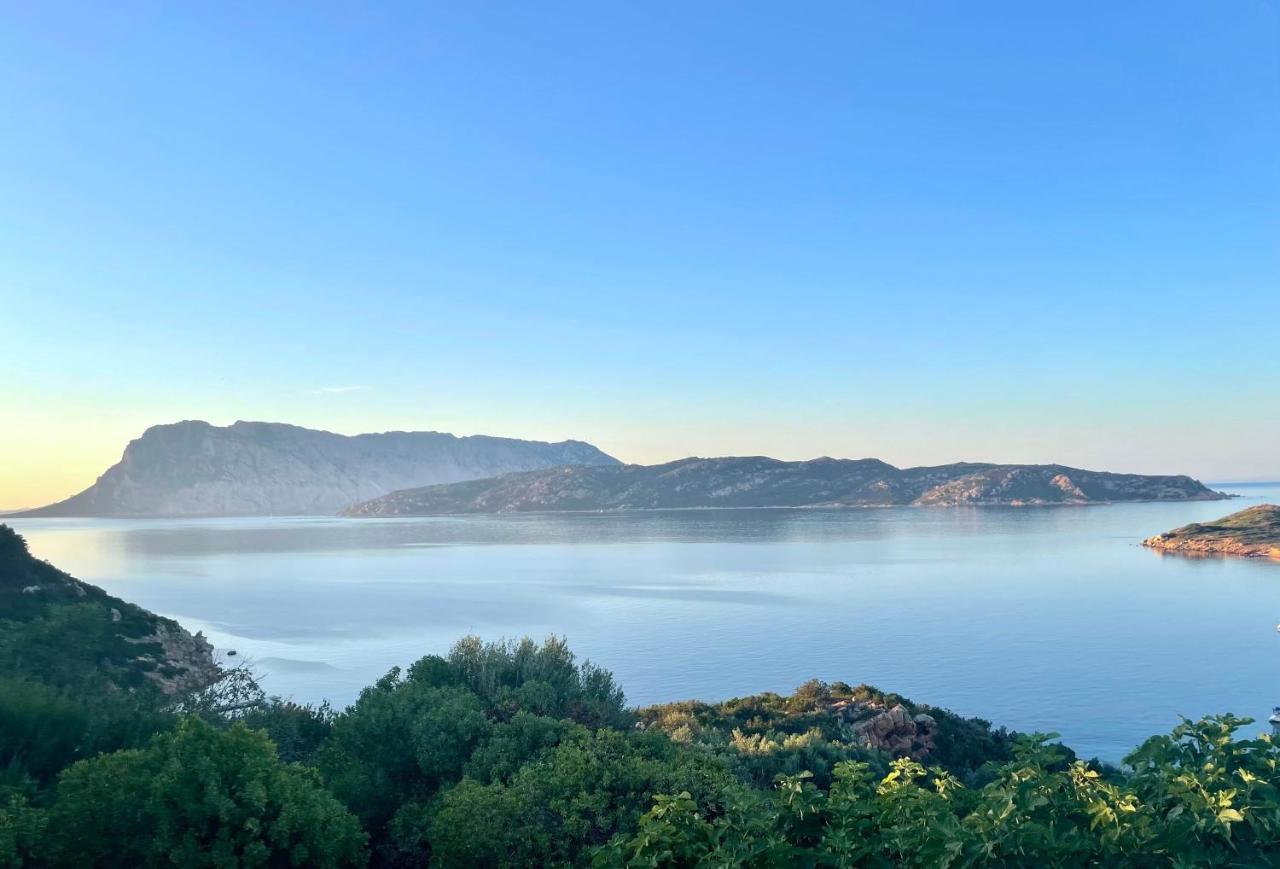 San Teodoro Punta Est Delizioso Monolocale Vista Mare Apartamento Exterior foto