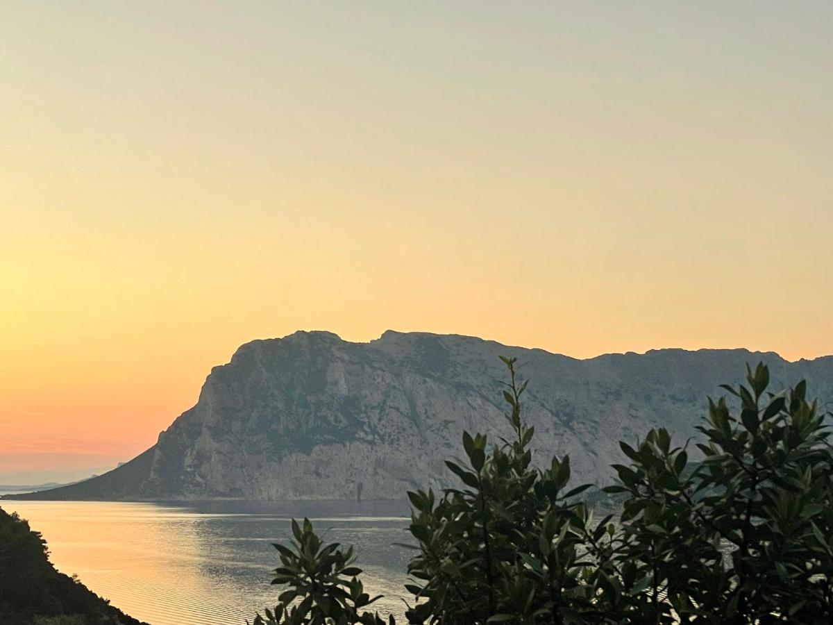 San Teodoro Punta Est Delizioso Monolocale Vista Mare Apartamento Exterior foto