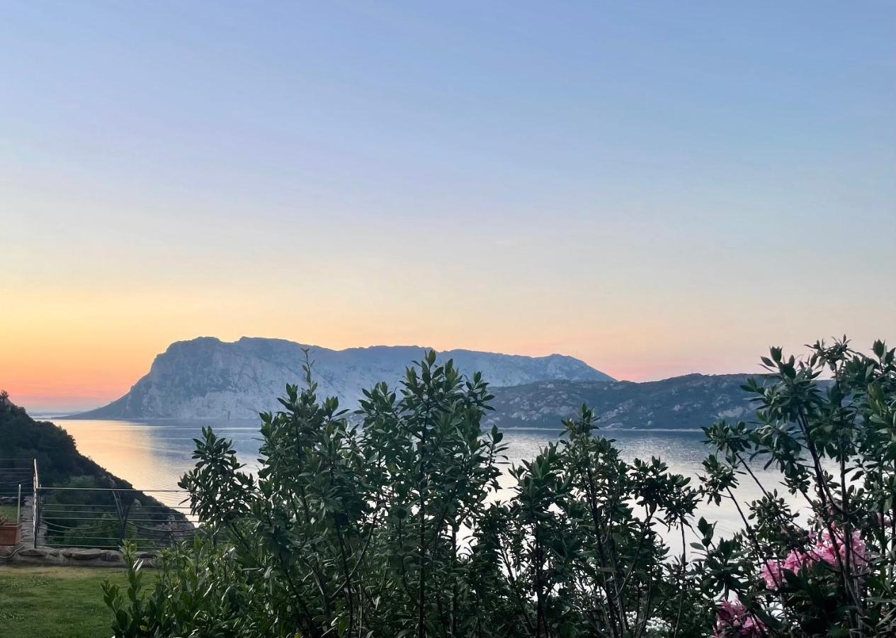 San Teodoro Punta Est Delizioso Monolocale Vista Mare Apartamento Exterior foto