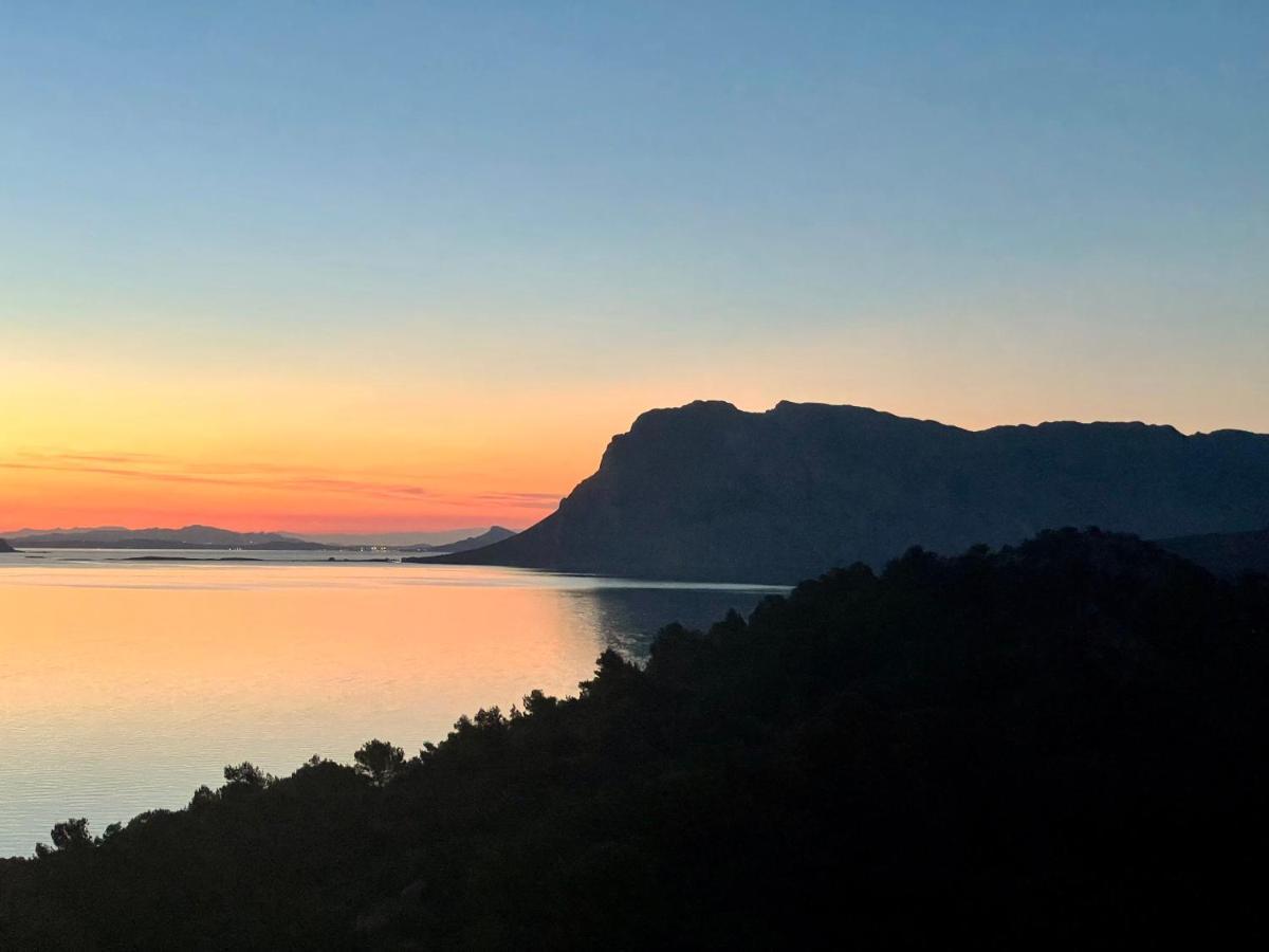 San Teodoro Punta Est Delizioso Monolocale Vista Mare Apartamento Exterior foto