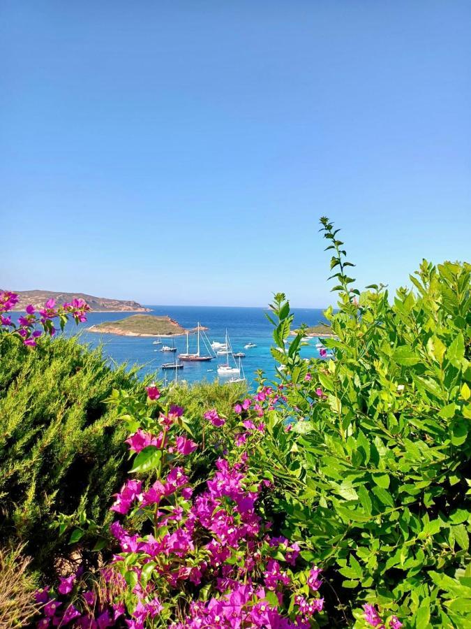 San Teodoro Punta Est Delizioso Monolocale Vista Mare Apartamento Exterior foto